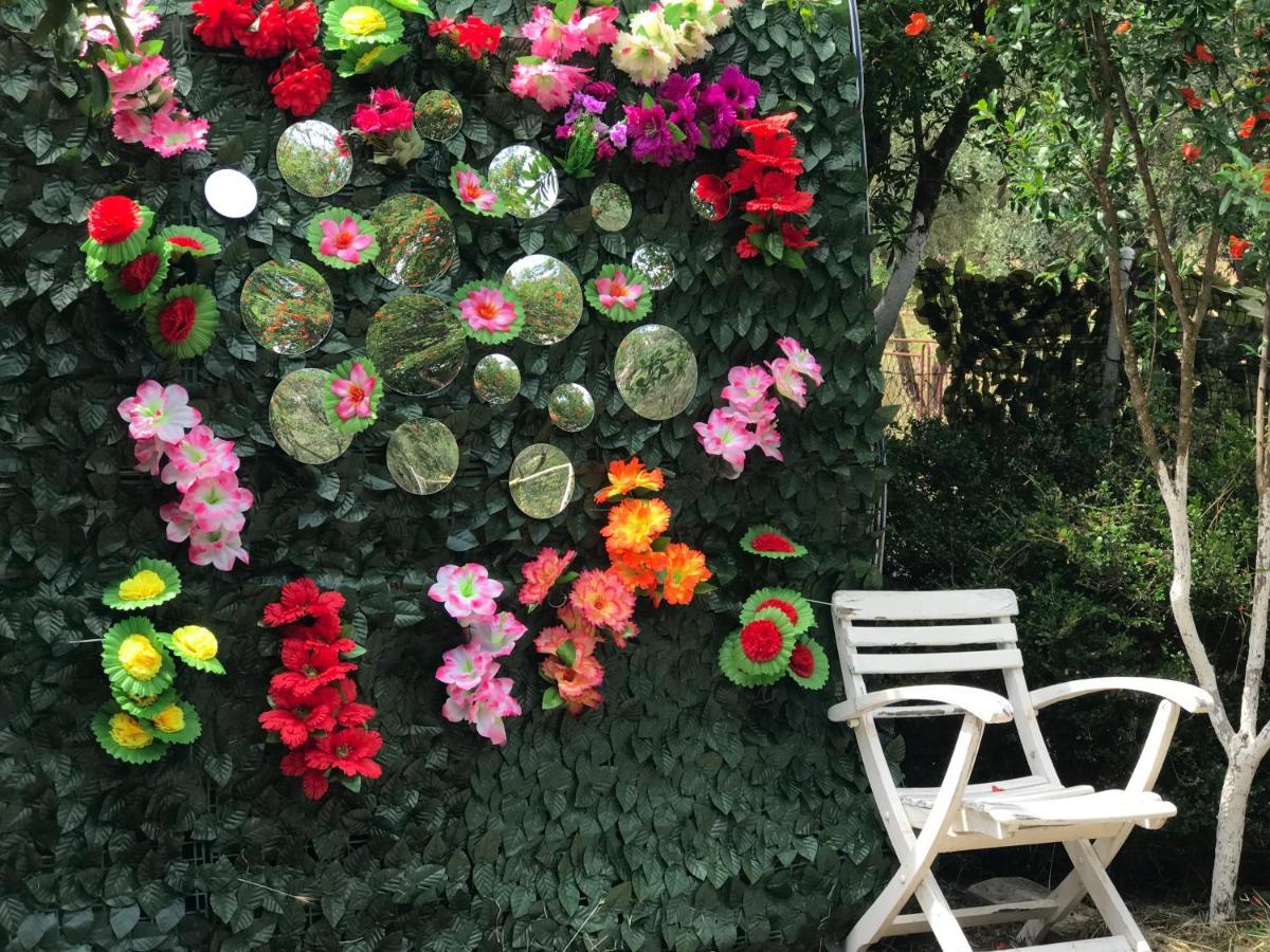 אולסינץ' Montebello Inn Apartments מראה חיצוני תמונה